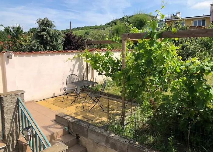 Apartment Ubytovani U Jerabku Mikulov